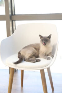 VALUE - Marketing Agency