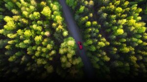 VALUE - Marketing Agency